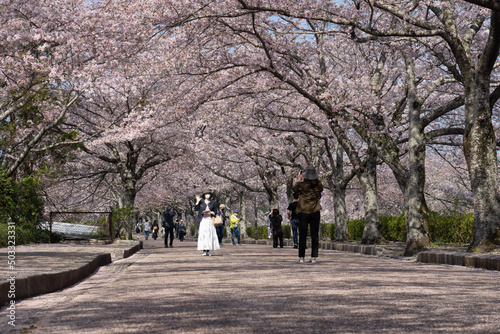 walk in the park