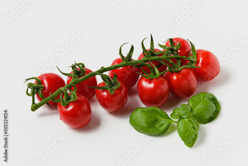 Cherry tomatoes on branch with green basil on white background.