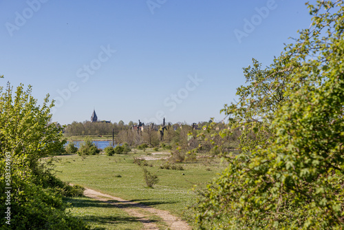 Meadow in the Molenplas nature reserve seen from a hill, green foliage, a path to the Bomenmonument, trees and a church tower in the background, sunny day in Stevensweert, South Limburg, Netherlands