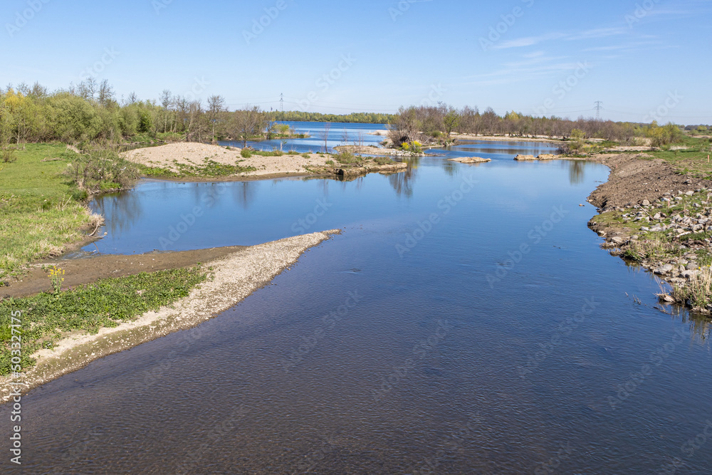Aerial view of the Oude Maas river between uneven sandy terrain, bare and green trees in the Molenplas nature reserve, sunny day with clear blue sky in Stevensweert, South Limburg, Netherlands