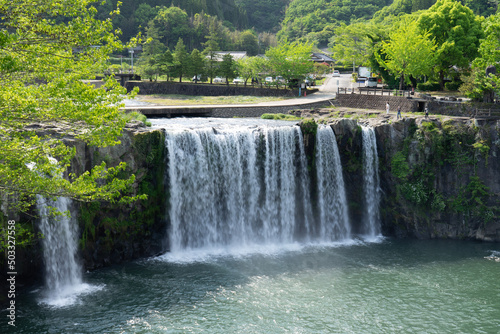 waterfall in the forest