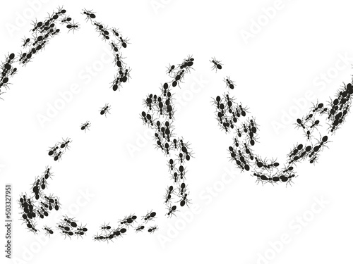 Colony ants. Seamless pattern insects ant on white. Workers ants marching, teamwork. Insects in flat style. Design for social media, blog post, print,, wall ar, wallpaper. Vector illustration