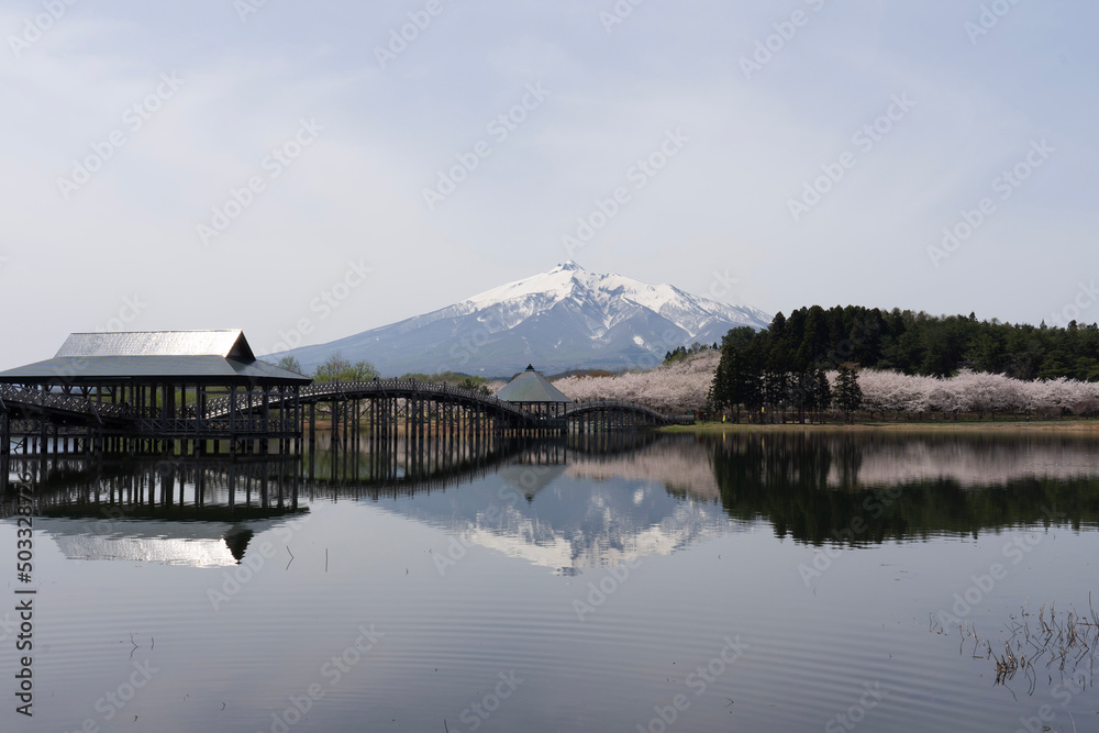 Fototapeta premium lake bled country