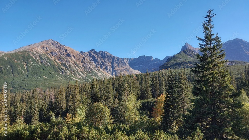 Tatra mountains landscape with conifers and stony mountains in the summer