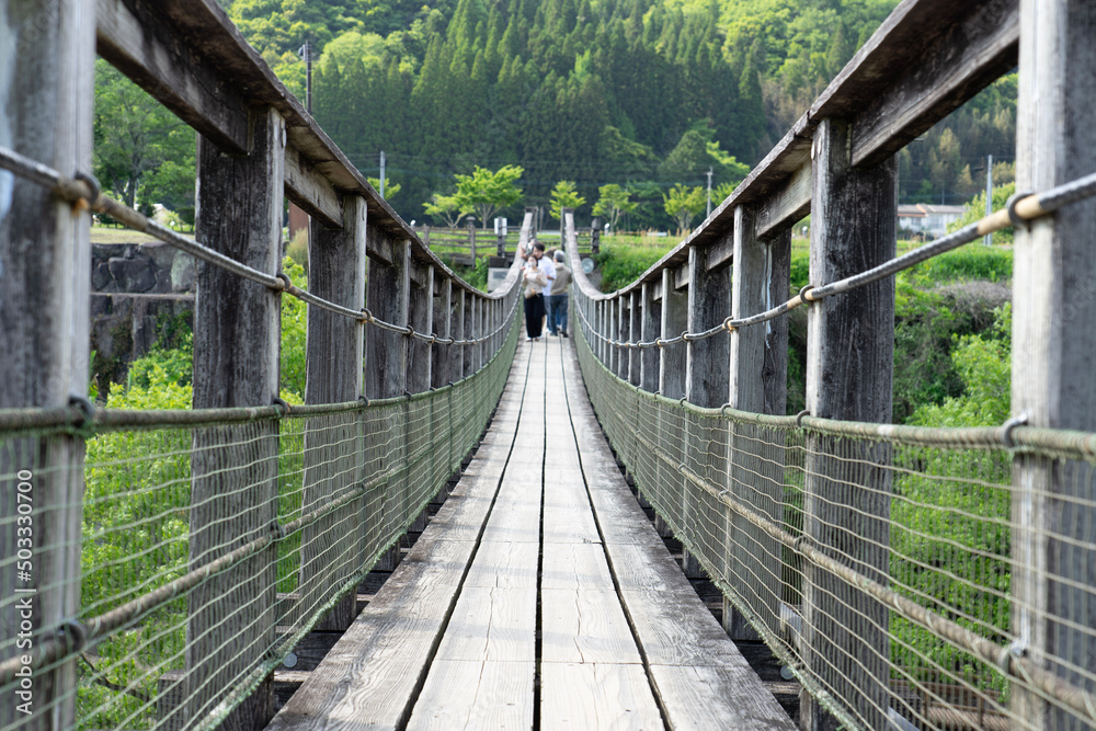 Obraz premium wooden bridge over the river