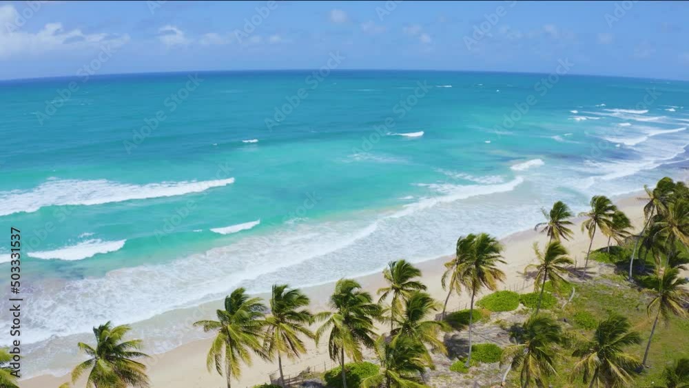 Wild palm beach on the tropical sea coast. Turquoise ocean under blue cloudy sky. Relaxation on the sea waves. Landscape of a wild beach, top view. Travel to tropical paradise. Wild palm beach on the tropical sea coast. Turquoise ocean under blue cloudy sky. Relaxation on the sea waves. Landscape of a wild beach, top view. Travel to tropical paradise.