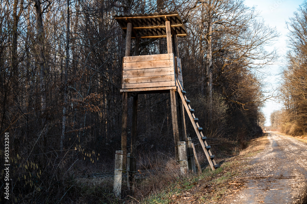 Hunting and observation tower on the gravel dirt road passing through the ancient hunting grounds of Turopoljski Lug, Croatia, hidden in the leafless forest in winter Hunting and observation tower on the gravel dirt road passing through the ancient hunting grounds of Turopoljski Lug, Croatia, hidden in the leafless forest in winter