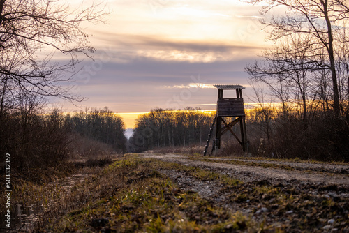 Beautiful sunset above endless, straight dirt road passing through the dense forest of Turopoljski Lug, Croatia with hunting tower rising above the path