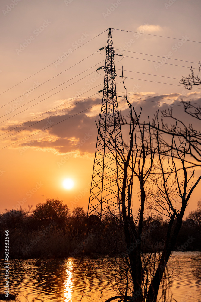 Electric pole rising above wild swamp near the city of Zagreb, during beautiful sunset