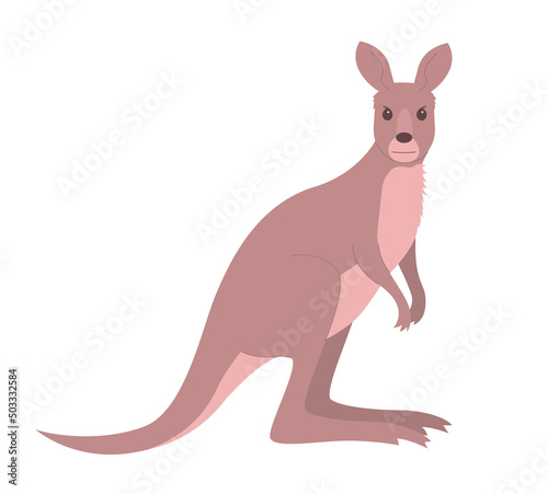 Wild mammal kangaroo on a white background. Marsupial animal of Australia. Vector cartoon isolated illustration