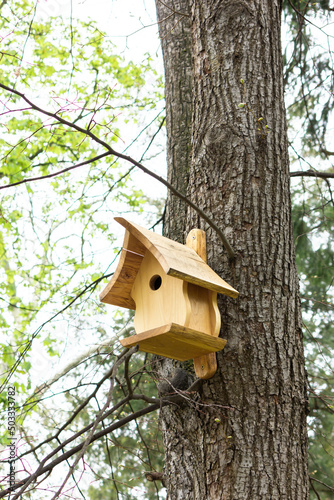 Pretty wooden birdhouse (nesting box or nesthouse) in the wavy shape tied to green tree in the park (forest, yard) at spring (summer) time. Simple design. Shelter for bird breeding. Vertical plane