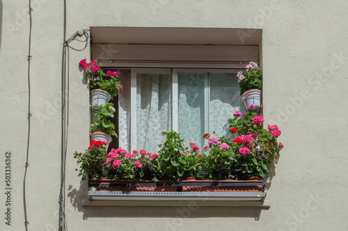an isolated window with pots with red and fuchsia geraniums