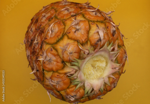 sweet season pineapples, grown in mexico