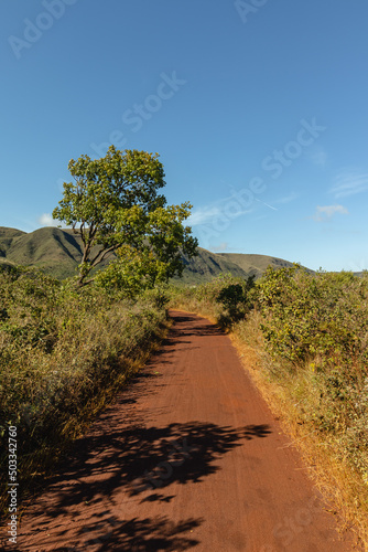 Natural landscape in Serra do Rola Mo  a  city of Belo Horizonte  State of Minas Gerais  Brazil