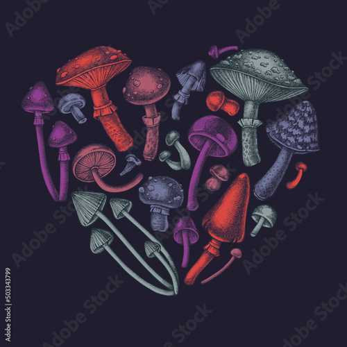 Forest mushrooms heart vintage design. Hand drawn mushrooms, fly agaric, blewit, etc.