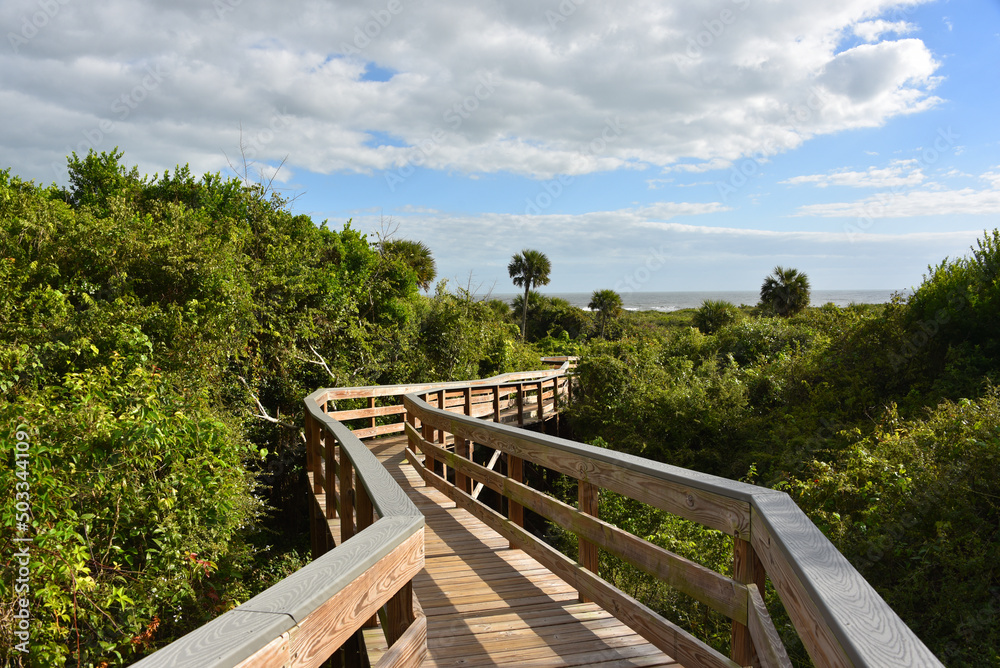 Florida- Close Up of an Elevated Wooden Walkway Through Tropical Bushes to the Beach