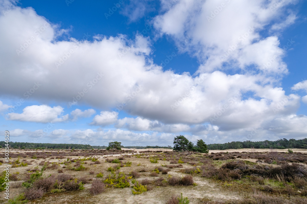 Leuvenumse bossen, Hulshortserzand