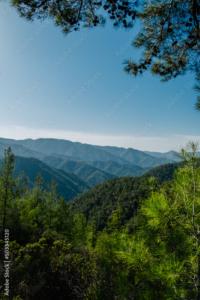 mountain landscape with trees, clear skies