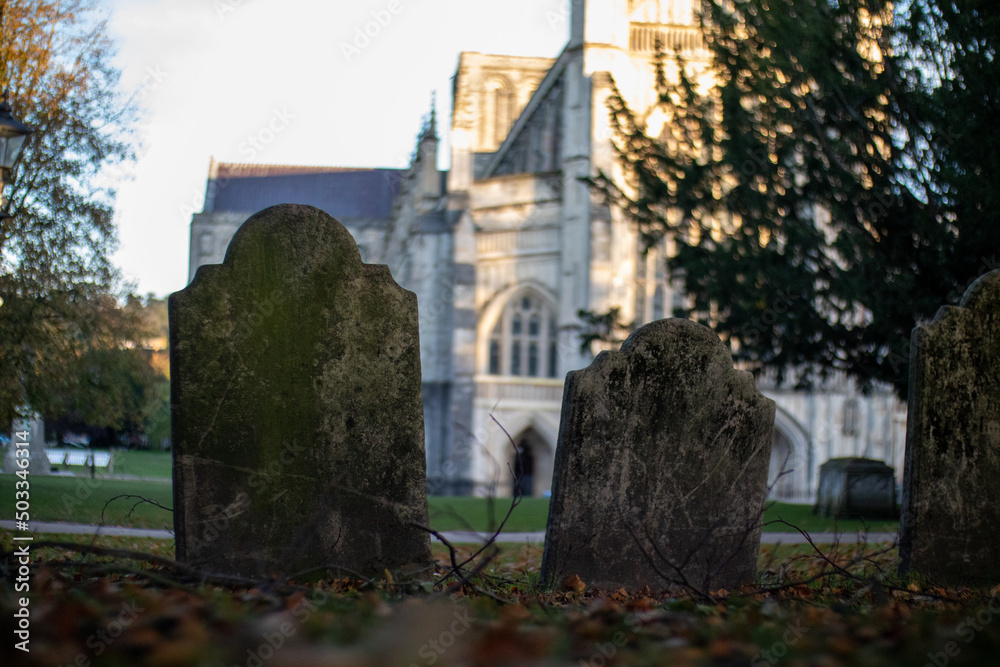 Naklejka premium Cemetery 