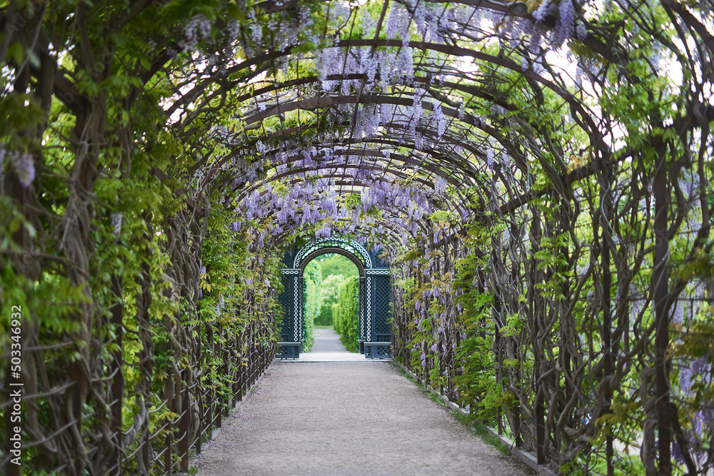 A gazebo into the palace garden in Vienna Spring evening