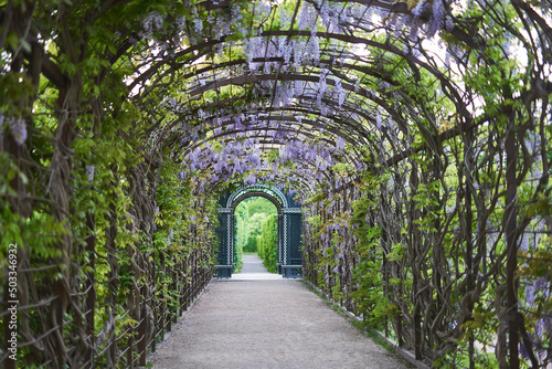 A gazebo into the palace garden in Vienna Spring evening