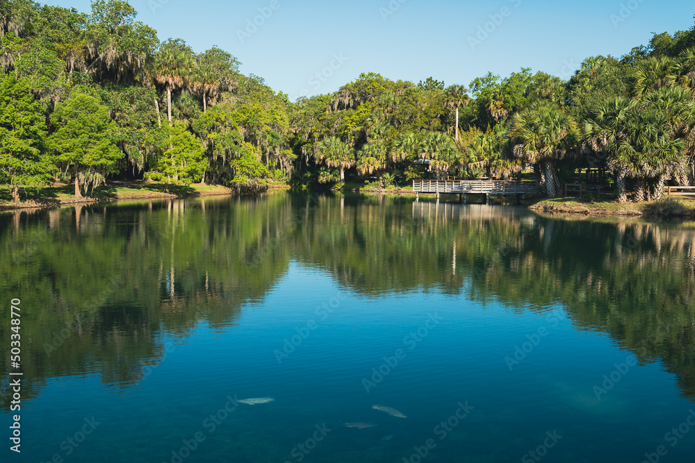 Clear blue waters of gemini springs in DeBary, Florida