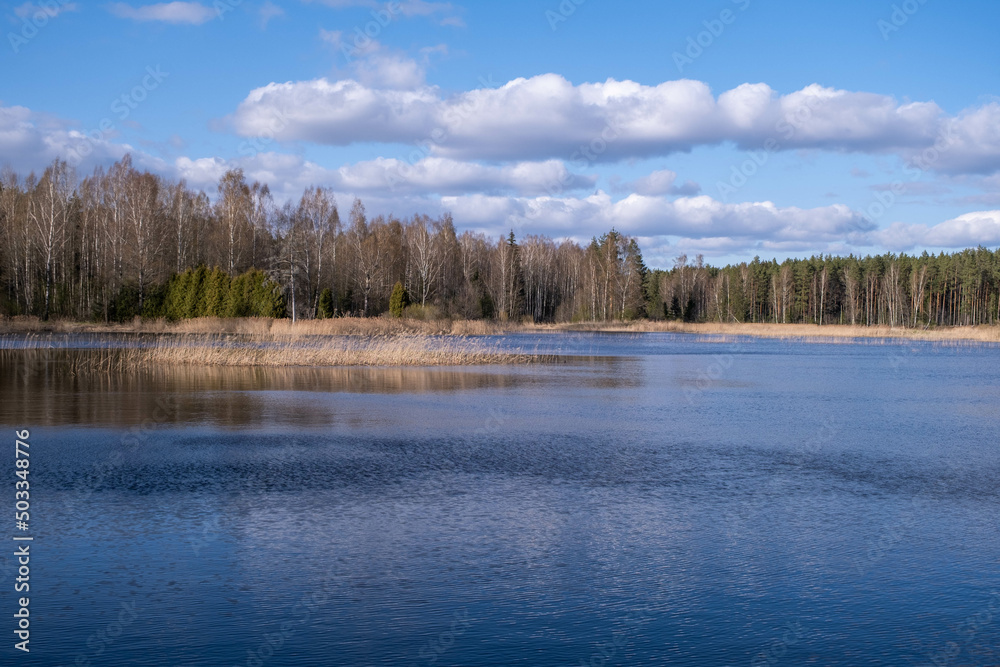 spring landscape with lake and forest. Latvia. spring landscape with lake and forest. Latvia.