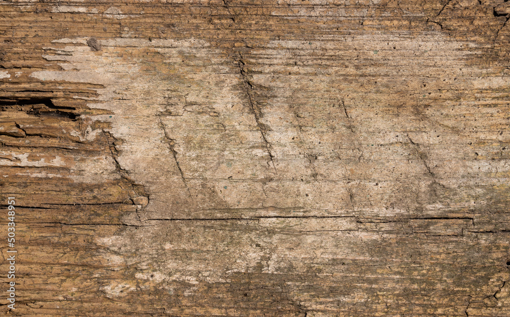 Brown wooden background, close-up wood structure with cracks, chips and uneven surface