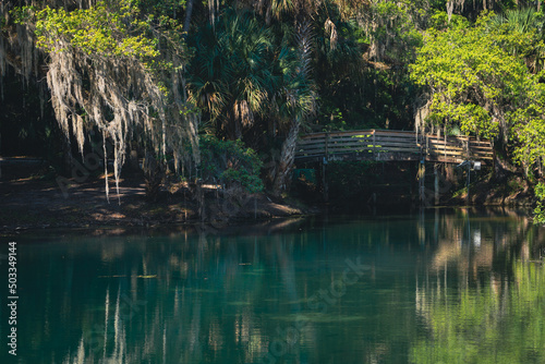 Bridge over the blue waters of gemini springs in DeBary, Florida photo