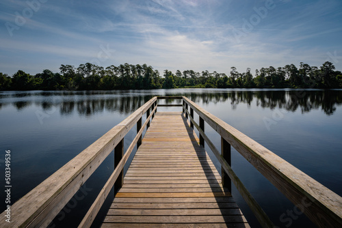 On the boardwalk of round lake park in Oviedo, a suburb of Orlando area in Florida