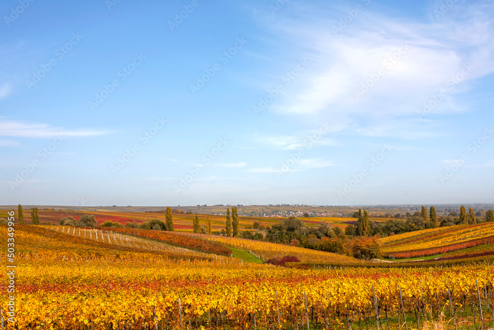 Herbst in der Südpfalz