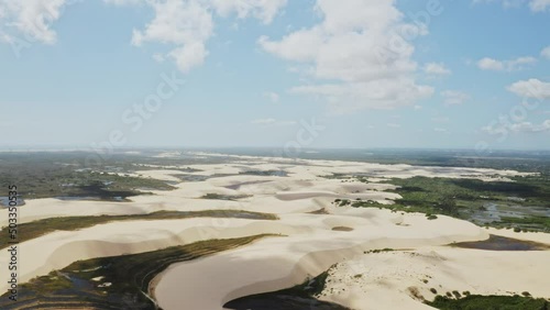 dunes forest river aerial drone shot footage