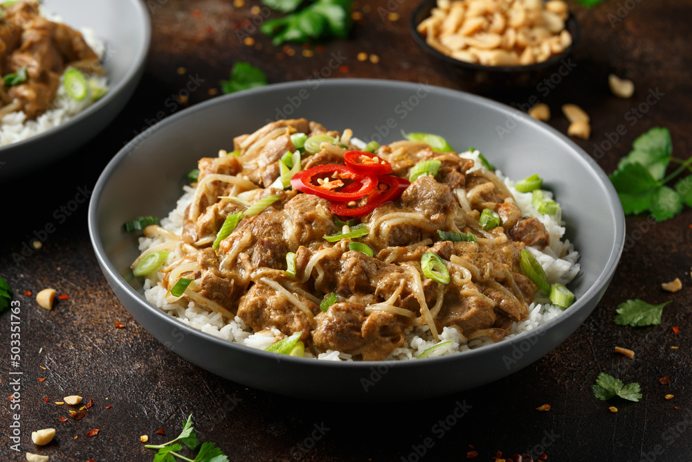 Thai style peanut pork with bean sprouts and rice. Asian food Thai style peanut pork with bean sprouts and rice. Asian food