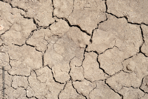 Dry cracked soil. Cracked and torn brown earth