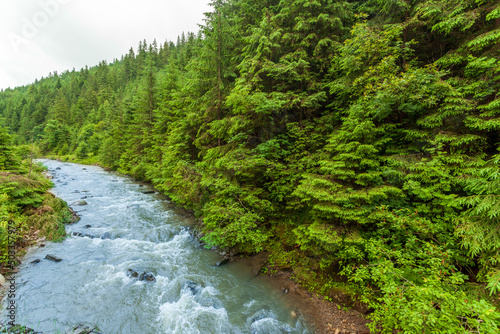 Beautiful nature and landscape with lush green forests and vegetation around the picturesque and amazing river Tereblya, which flows into the Synevyr valley of the Carpathian mountains in Ukraine. photo