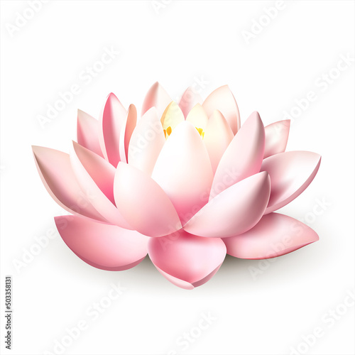 Beautiful pink lotus isolated on white. Sacred symbol of cosmic creation, spiritual perfection and purity in Buddhism and Hinduism. Vector illustration.
