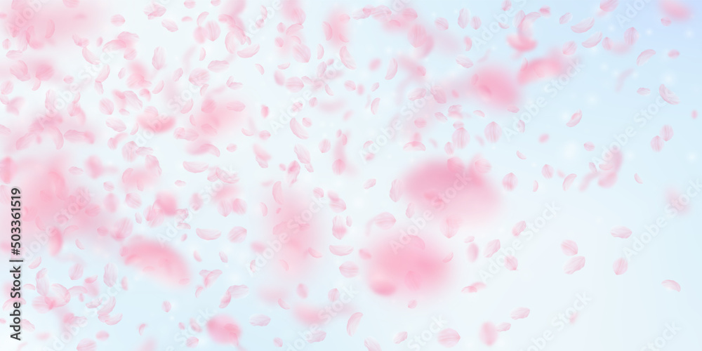 Sakura petals falling down. Romantic pink flowers gradient. Flying petals on blue sky wide background. Love, romance concept. Mind-blowing wedding invitation. Sakura petals falling down. Romantic pink flowers gradient. Flying petals on blue sky wide background. Love, romance concept. Mind-blowing wedding invitation.