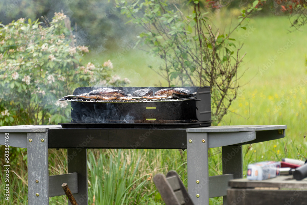 Barbecue in the middle of the garden, in early spring Barbecue in the middle of the garden, in early spring