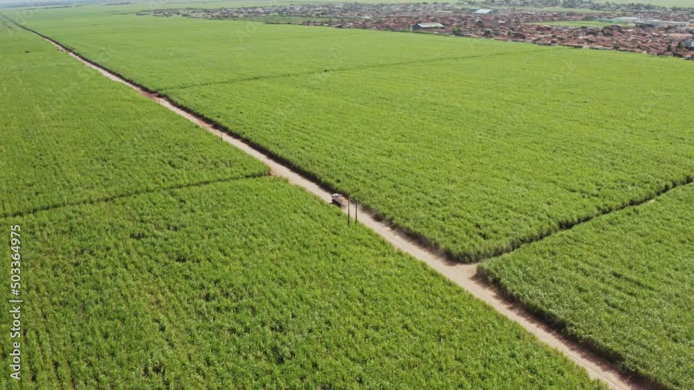 green field sunny road aerial drone shot green field sunny road aerial drone shot