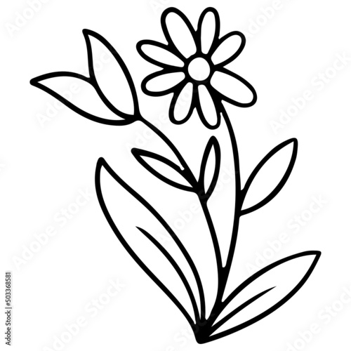 Fototapeta Naklejka Na Ścianę i Meble -  Flower Plant Leaves hand drawn Line Art Illustration