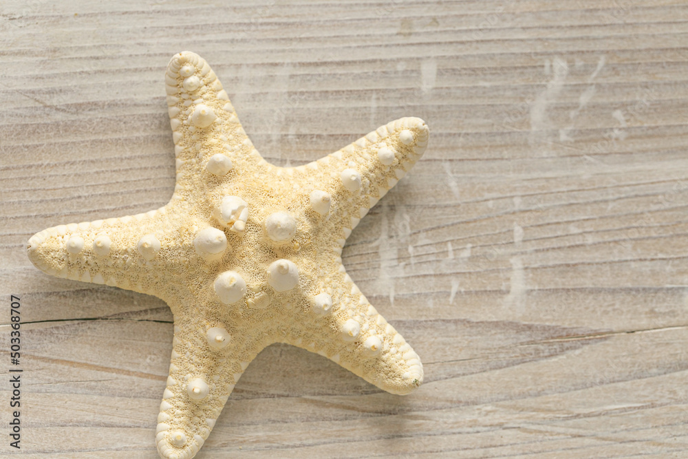 Marine summer Wallpaper. beige starfish on white shabby chic board background. nautical decor.Background in a marine style in white and beige tones