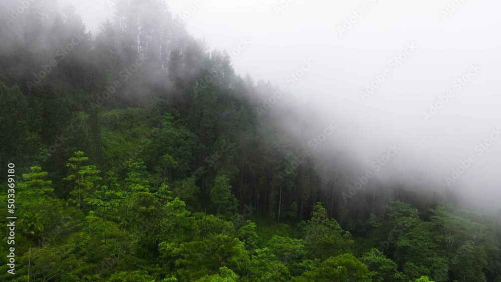 Aerial view of Tropical mountain range and mountain slopes with rainforest. Sri Lanka. Aerial view of Tropical mountain range and mountain slopes with rainforest. Sri Lanka.