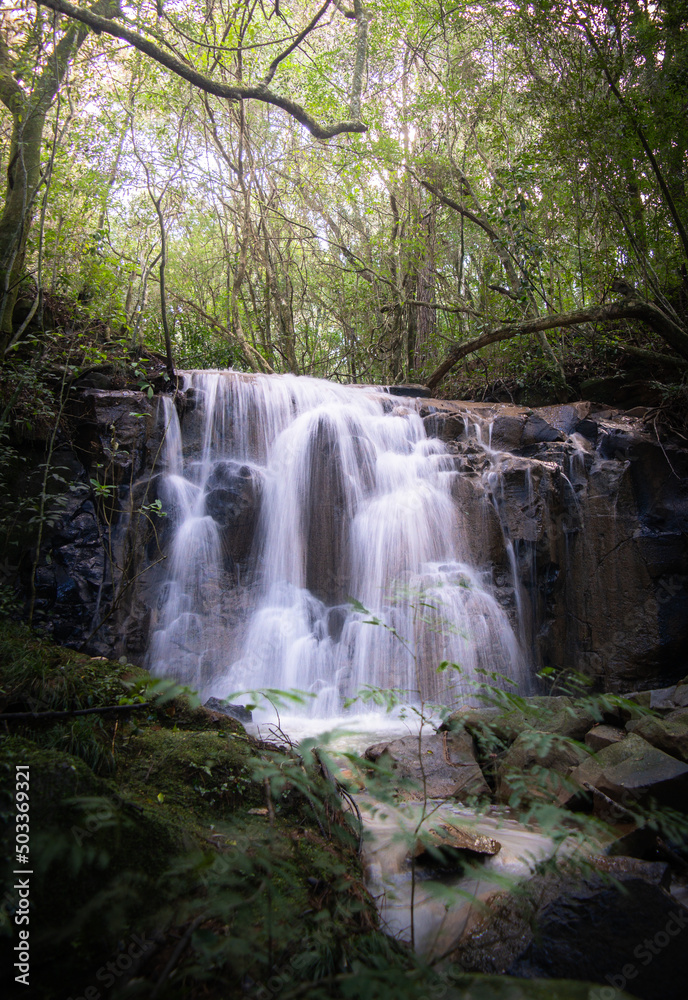 Fototapeta premium Tarde em uma cachoeira.
