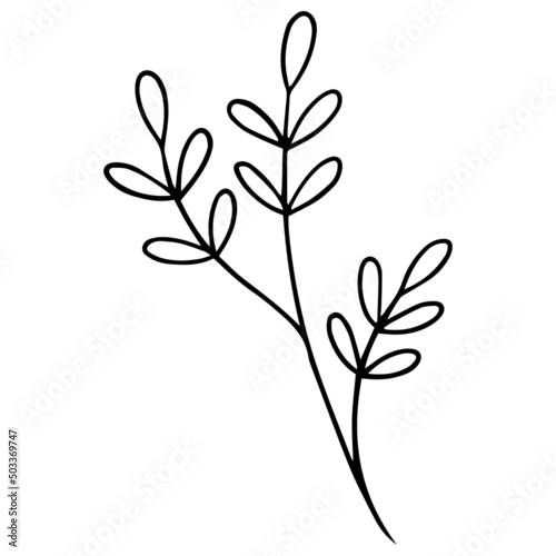 Flower Plant Leaves hand drawn Line Art Illustration