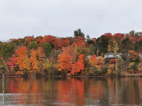 Fototapeta Naklejka Na Ścianę i Meble -  fall colors on the lake