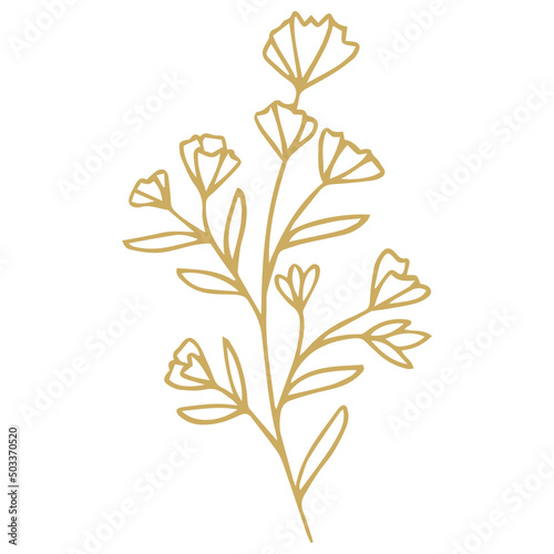 Flower Plant Leaves hand drawn Line Art Illustration