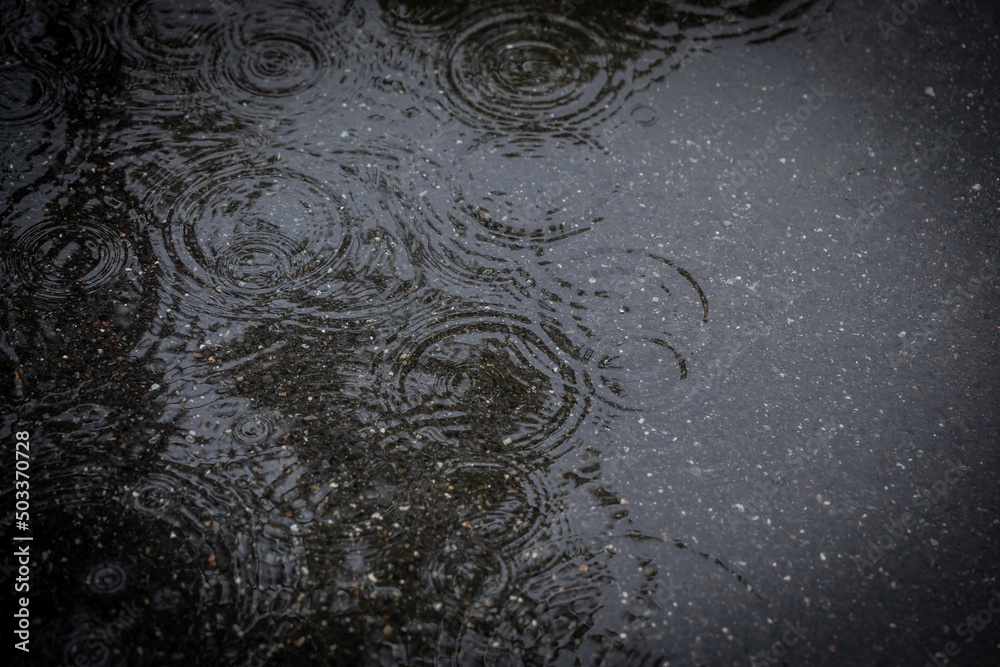 Fototapeta premium 水たまりの波紋 Ripples of a puddle