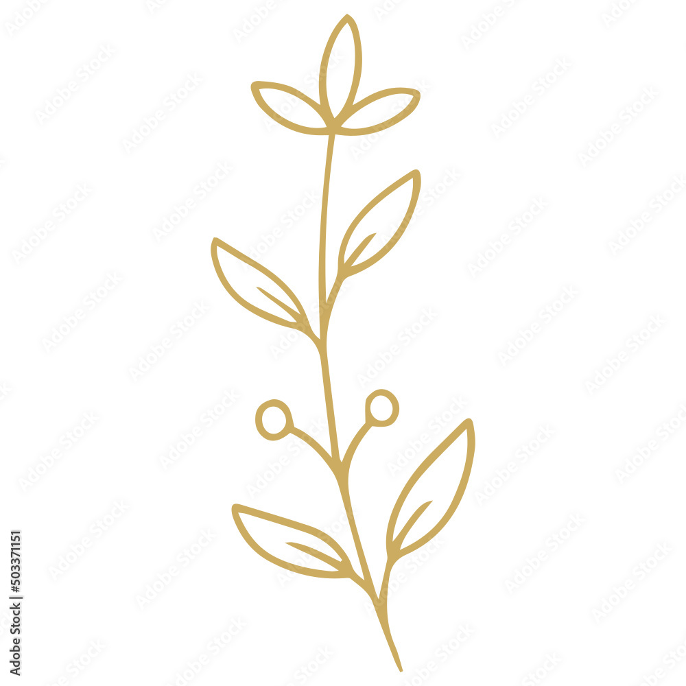 Flower Plant Leaves hand drawn Line Art Illustration