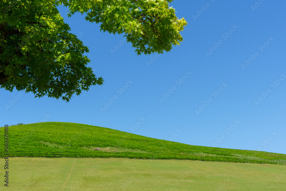 Obraz premium 日本の観光地である奈良の若草山の風景