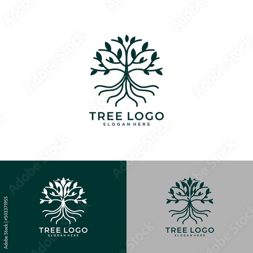Abstract living tree logo design, roots vector - Tree of life logo design inspiration isolated on white background